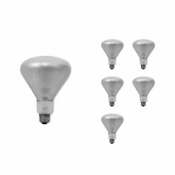 Bulbrite Incandescent BR40 Medium Screw Base (E26) Light Bulb, 250 Watt, Clear Tough Coat, 6/Pack (860894)