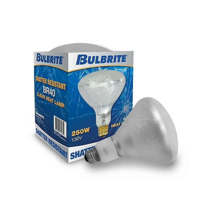 Bulbrite Incandescent BR40 Medium Screw Base (E26) Light Bulb, 250 Watt, Clear Tough Coat, 6/Pack (860894) - Image 2