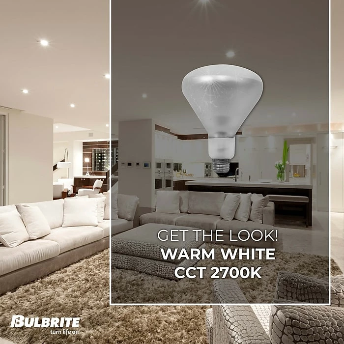 Bulbrite Incandescent BR40 Medium Screw Base (E26) Light Bulb, 250 Watt, Clear Tough Coat, 6/Pack (860894) - Image 3