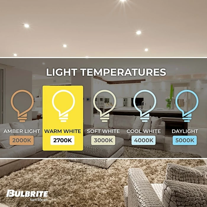 Bulbrite Incandescent BR40 Medium Screw Base (E26) Light Bulb, 250 Watt, Clear Tough Coat, 6/Pack (860894) - Image 4