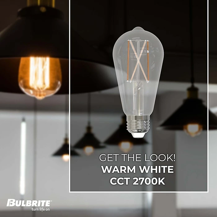 Bulbrite 8.5 Watt Dimmable Clear ST18 LED Light Bulbs, 2700K Warm White Light, 2/Pack (861422) - Image 3