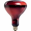 Philips Incandescent Heat Lamp, R40, 250 Watts, 4PK