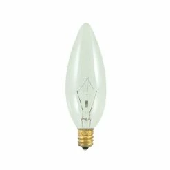 Bulbrite 25 Watt Dimmable Clear B10 Incandescent Light Bulbs, 2700K Warm White Light, 50/Pack (861140)