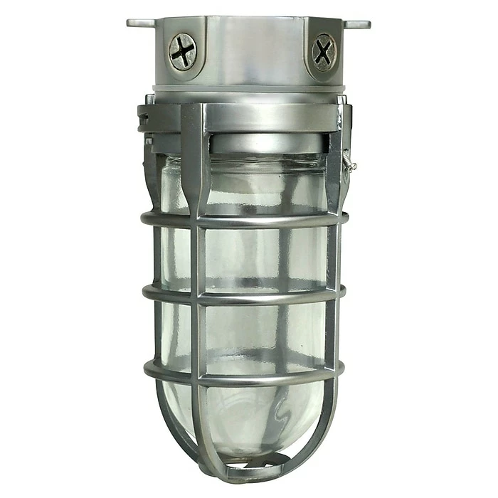 Woods L1706BS Traditional 100W Incandescent Weather Industrial Light, Ceiling Mount, Brushed Steel